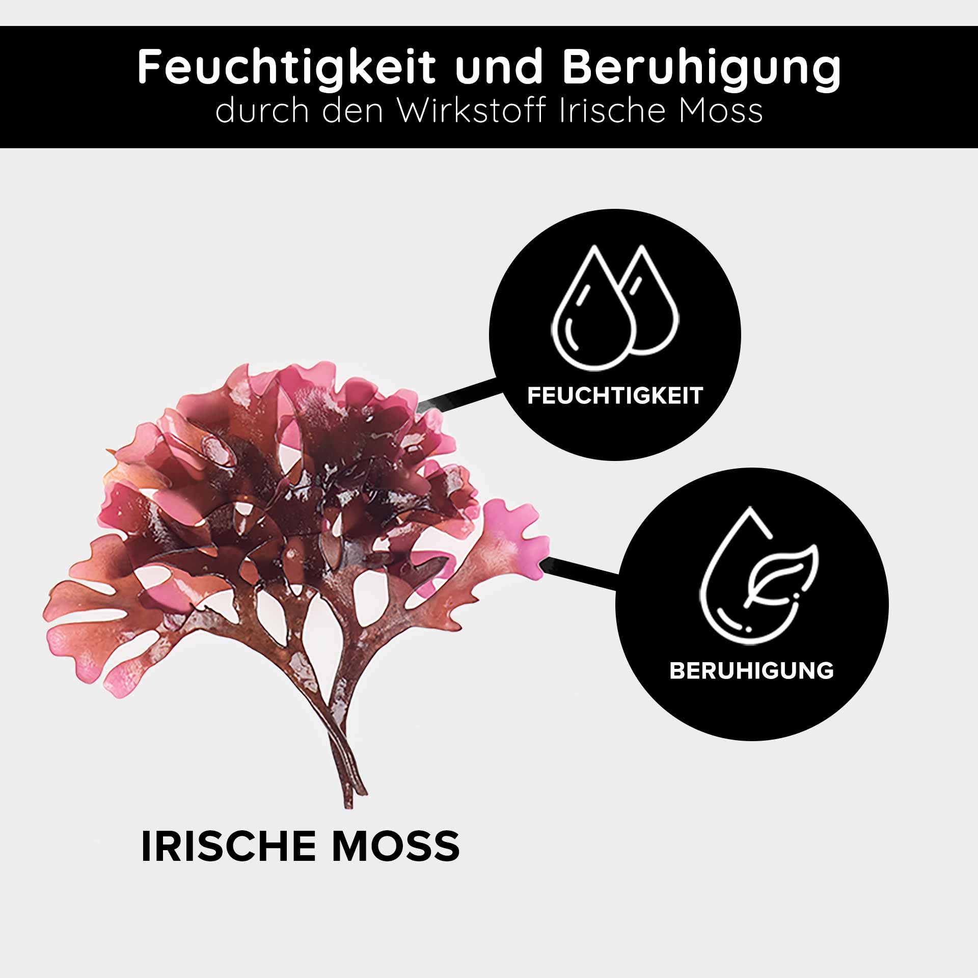 Triple Vitamin C Serum 100 ml mit 11 % Vitamin C Säuren RAU Triple Vitamin C Serum mit Irischer Moos, das die feuchtigkeitsspendenden und beruhigenden Eigenschaften betont, mit Symbolen, die für Feuchtigkeit und beruhigende Wirkung stehen.