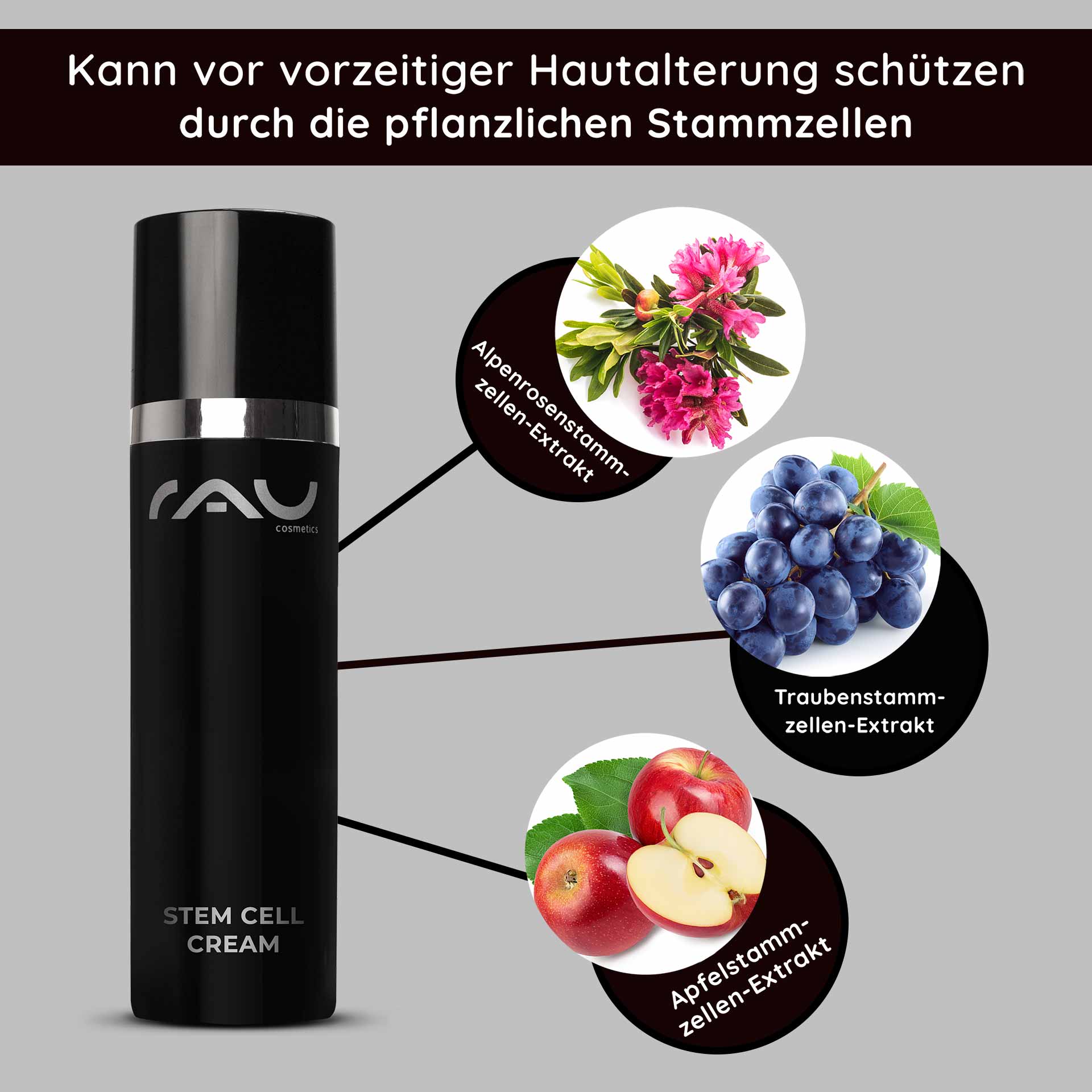 Stem Cell Cream 50 ml Stem Cell Anti Aging Cream for Dry Mature Skin Flasche der RAU Cosmetics Stem Cell Cream mit Text, der die Vorteile von Pflanzenstammzellenextrakten, einschließlich Apfel-, Trauben- und Alpenrosenstammzellen, für die Anti-Aging-Hautpflege hervorhebt.
