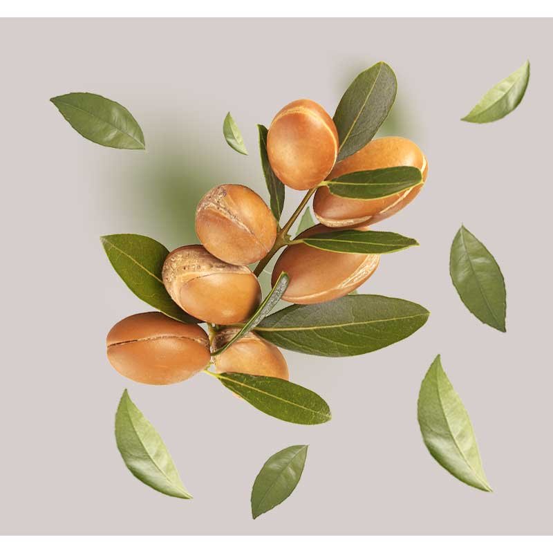 Kunstvoll arrangierte Argan-Nüsse und -Blätter heben die natürlichen Inhaltsstoffe für die Hautpflege in der Beyond Moisturizing 24h Cream von RAU Cosmetics hervor.