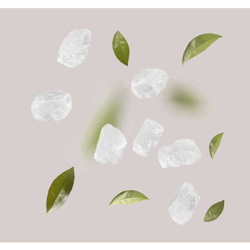 meersalz Meersalz und grüne Blätter auf neutralem Hintergrund, symbolisierend die beruhigenden und feuchtigkeitsspendenden Eigenschaften der RAU Cosmetics Sea Salt Calming Cream.