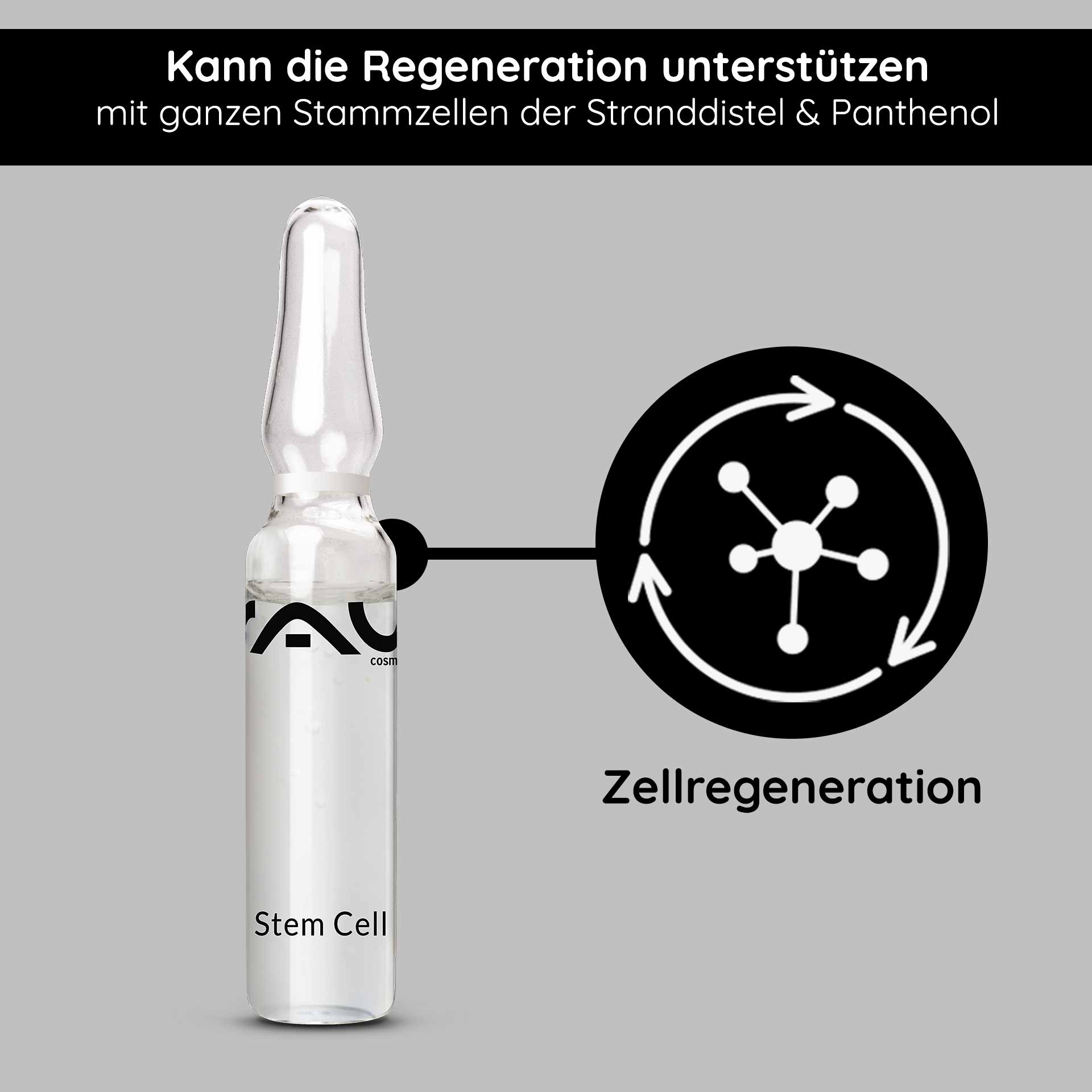 Stem Cell Ampoules 10x2 ml Anti Aging for Mature Skin Ampulle mit RAU Stem Cell Serum, transparent, beschriftet mit "Stem Cell", unterstützt Zellregeneration, enthält ganze Stammzellen der Stranddistel und Panthenol, auf grauem Hintergrund.