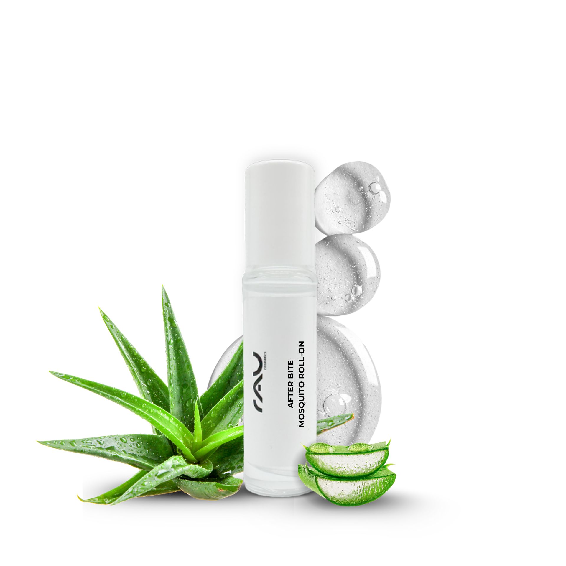 Kräuter, Pflanze, Aloe, Kräuter, Pflanze, Aloe