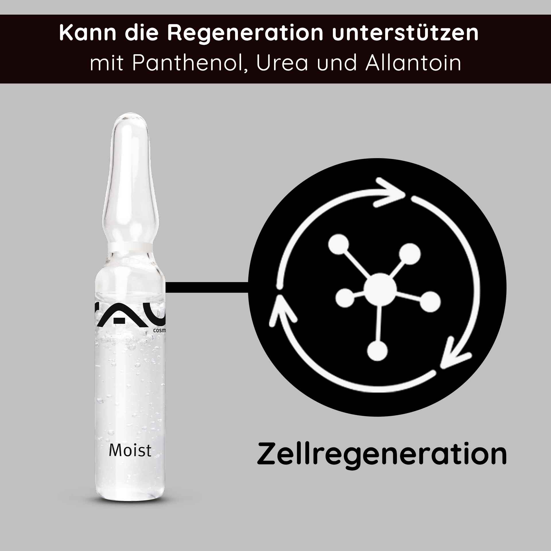 Moist ampoules 7x2 ml incl. applicator Hyaluron Booster Moist ampoules 7x2 ml incl. applicator Hyaluron Booster