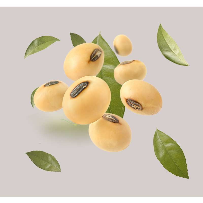 Sojabohnen in einer Schale auf einem Holztisch – Nahaufnahme der Bohnen mit sichtbaren Texturen und natürlichen Farben.