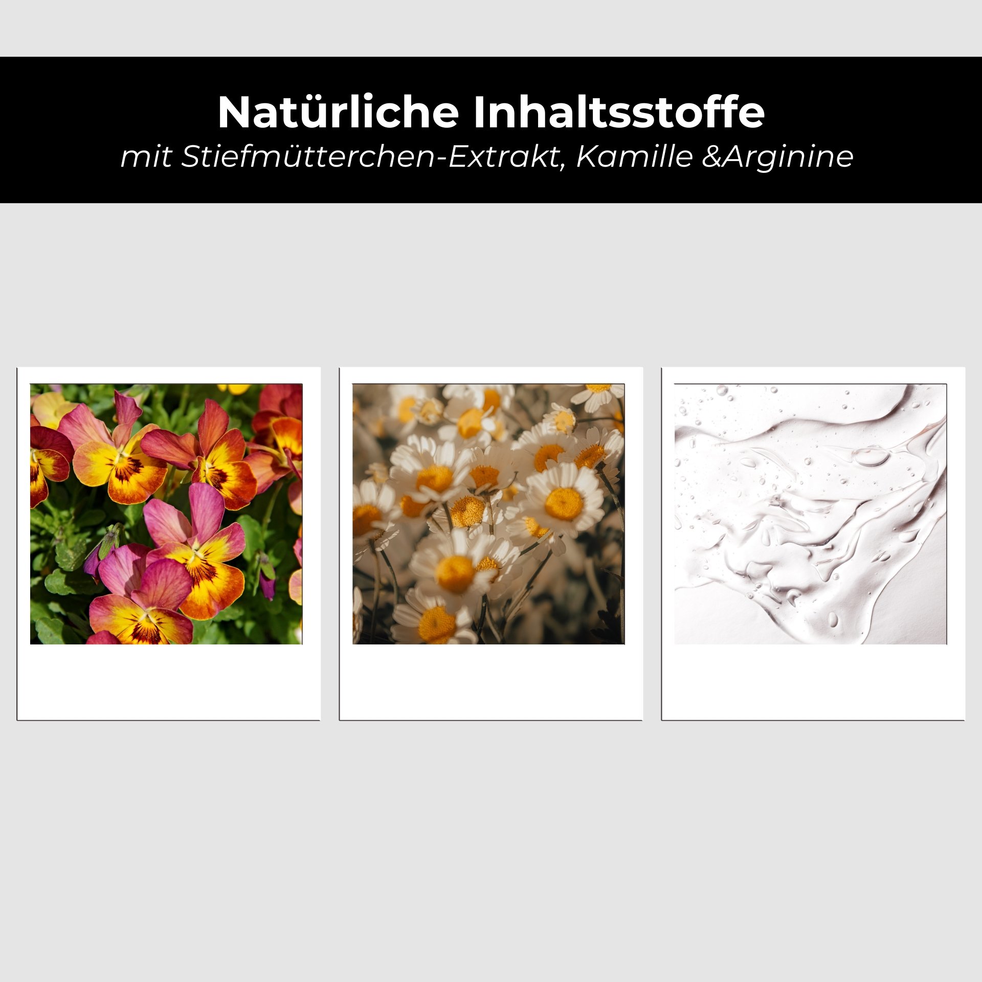 Collage de divers pétales de fleurs et d'anémones représentant les ingrédients végétaux du Purifying Tonic.