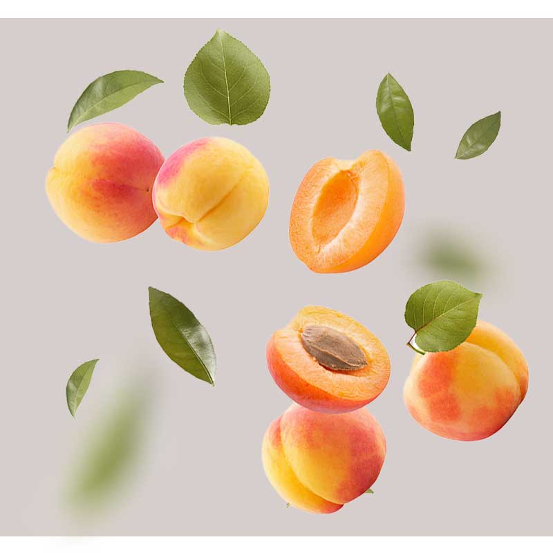 aprikosenkernoel_(1) aprikosenkernoel_(1)