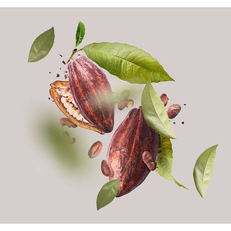 Kakaofrüchte mit grünen Blättern, dargestellt in einem minimalistischen Design, symbolisieren die feuchtigkeitsspendenden Eigenschaften der Beyond Moisturizing 24h Cream von RAU Cosmetics, ideal für trockene Haut.