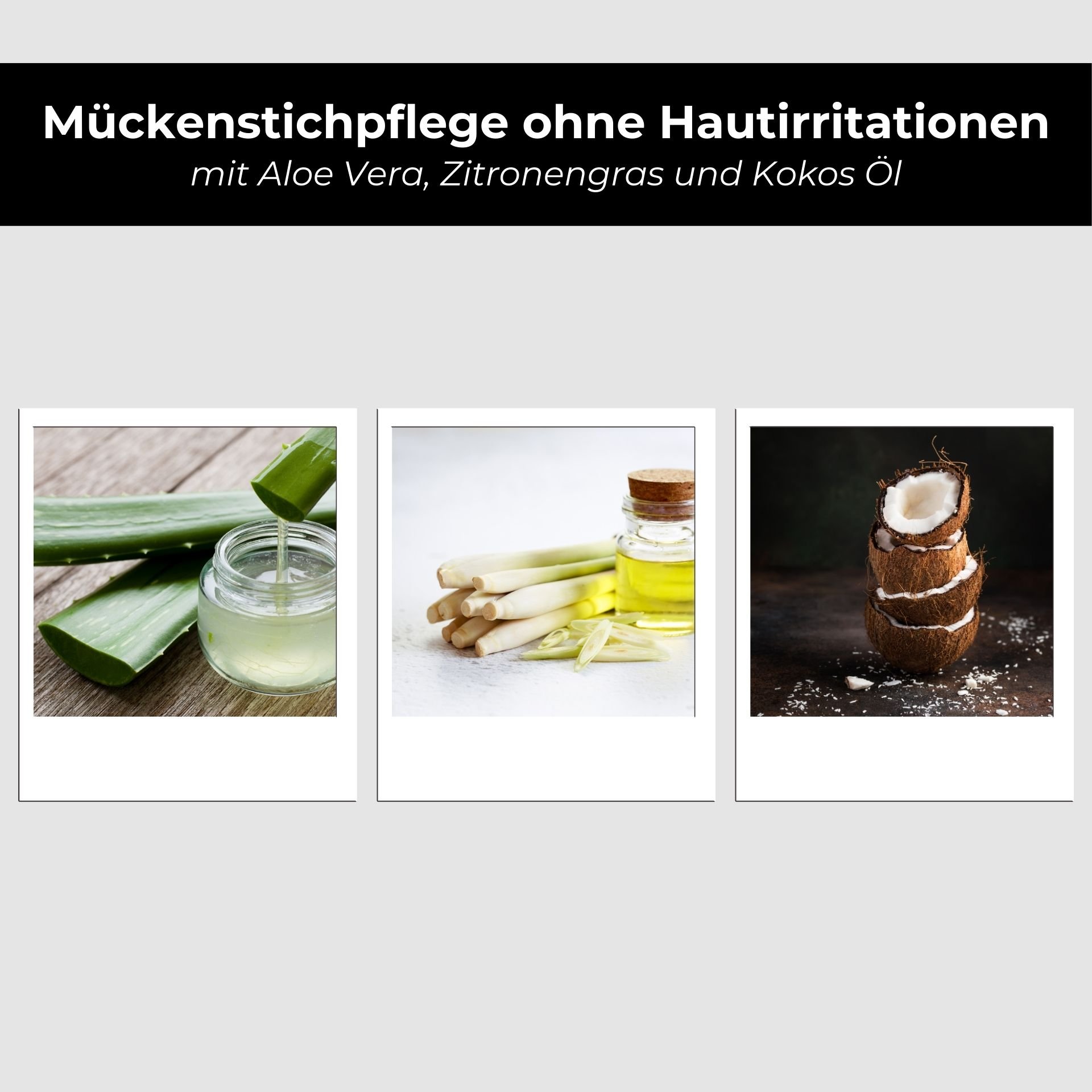 Natural ingredients of the Mosquito Set: Lemon and botanical active ingredients.