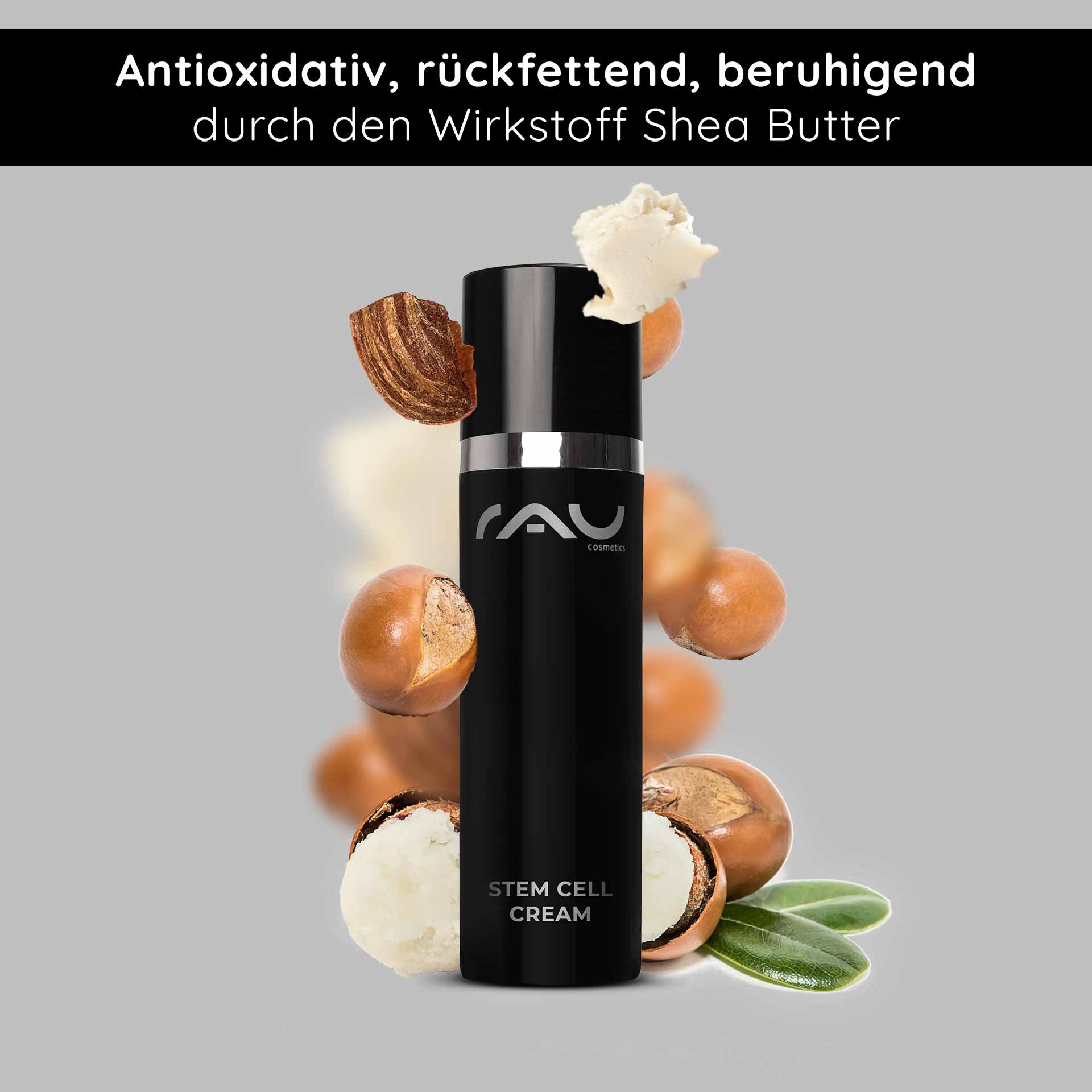 Stem Cell Cream 50 ml Stem Cell Anti Aging Cream for Dry Mature Skin Flasche der Stammzellencreme von RAU Cosmetics mit Sheabutter-Inhaltsstoffen, die antioxidative und feuchtigkeitsspendende Eigenschaften für die Anti-Aging-Hautpflege hervorhebt.