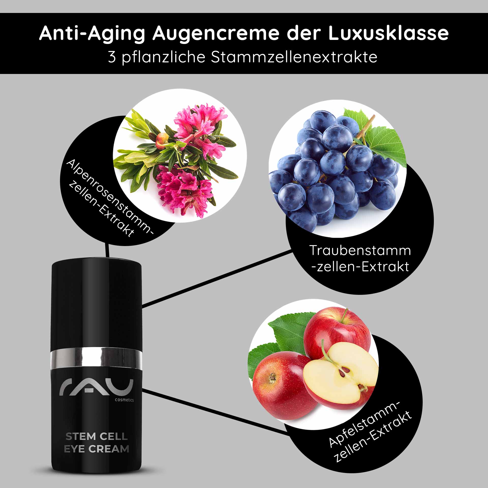 Stem Cell Eye Cream 15 ml Anti Aging Eye Cream Anti-Aging Augencreme von RAU Cosmetics mit pflanzlichen Stammzellenextrakten aus Alpenrose, Traube und Apfel, präsentiert in eleganter Verpackung.
